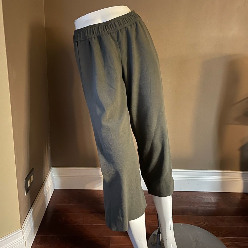 The Limited Wide capris with slits on each Leg
